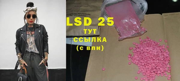 стаф Баксан
