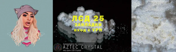 стаф Баксан