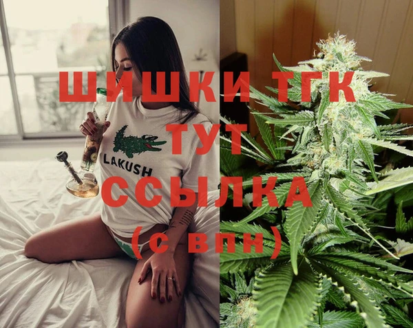 стаф Баксан