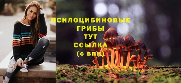 стаф Баксан