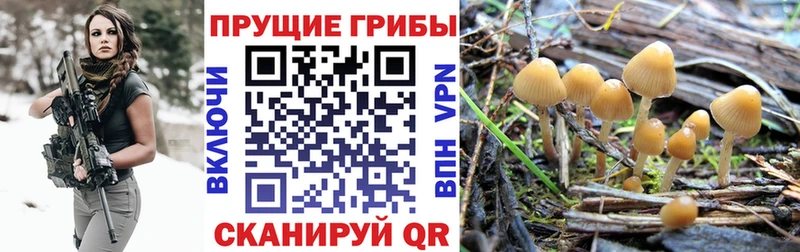 Псилоцибиновые грибы Magic Shrooms  нарко площадка официальный сайт  Чехов  даркнет сайт 
